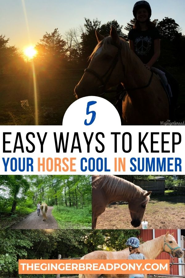 5 Ways to Keep Your Horse Cool in Summer PIN