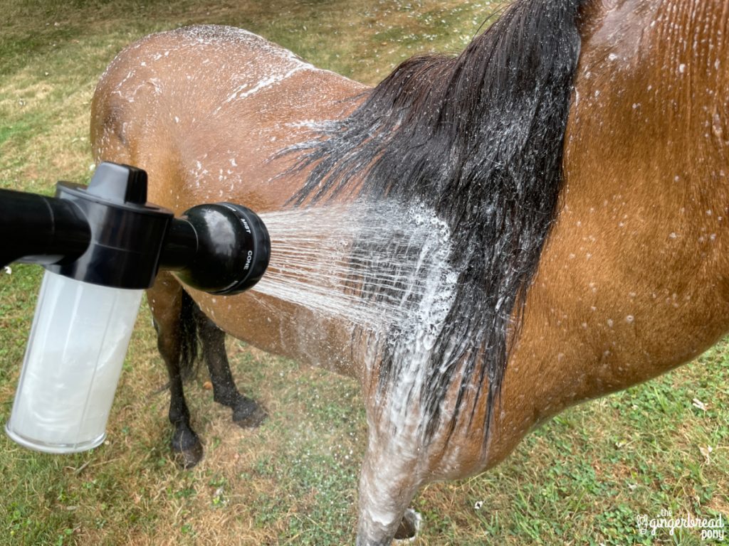 Soap Sprayer on Pony