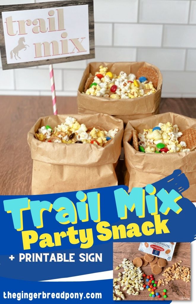 Trail Mix Party Snack 2 Pin