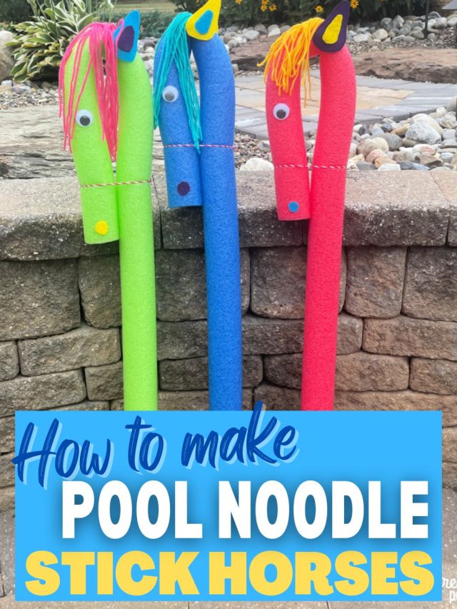 Pool Noodle Stick Horses PIN