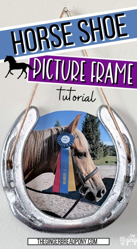 Horse Shoe Picture Frame PIN
