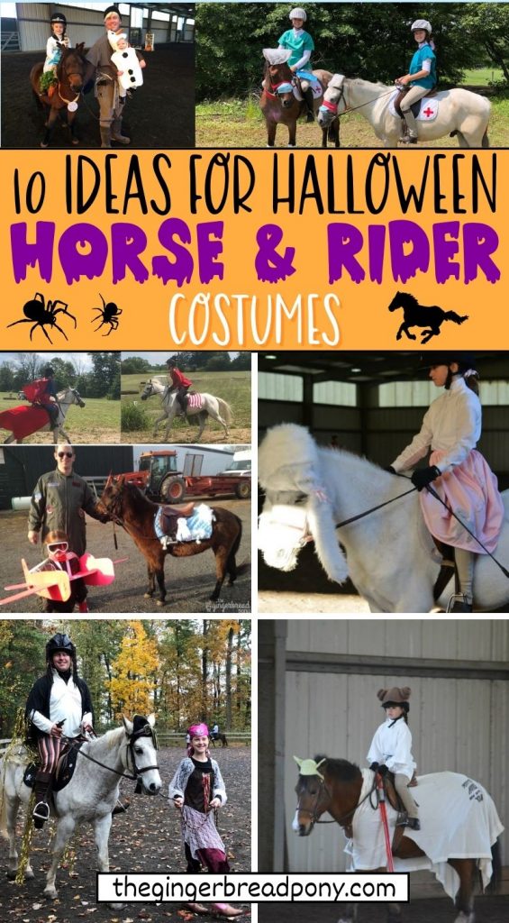 Horse and Rider Costumes PIN