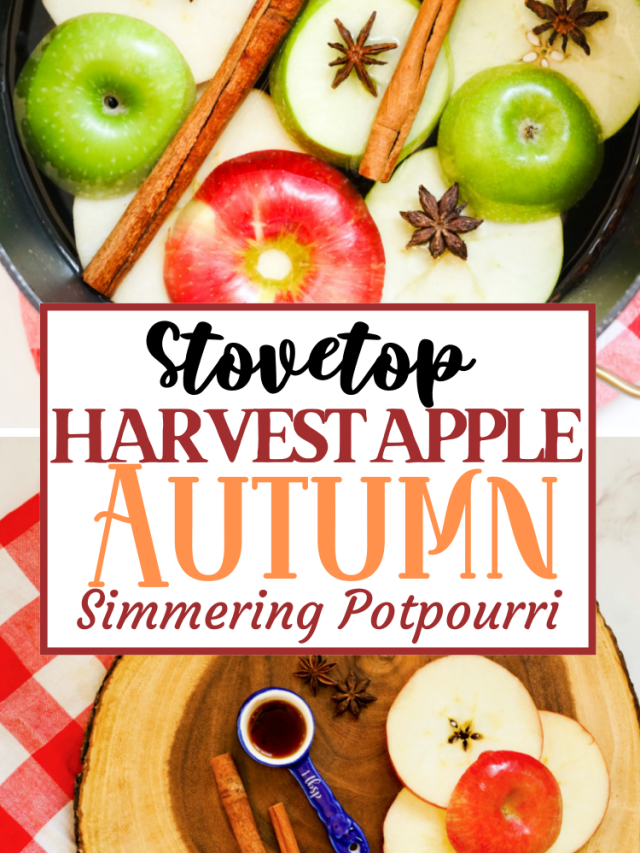 Harvest Apple Autumn Potpourri PIN