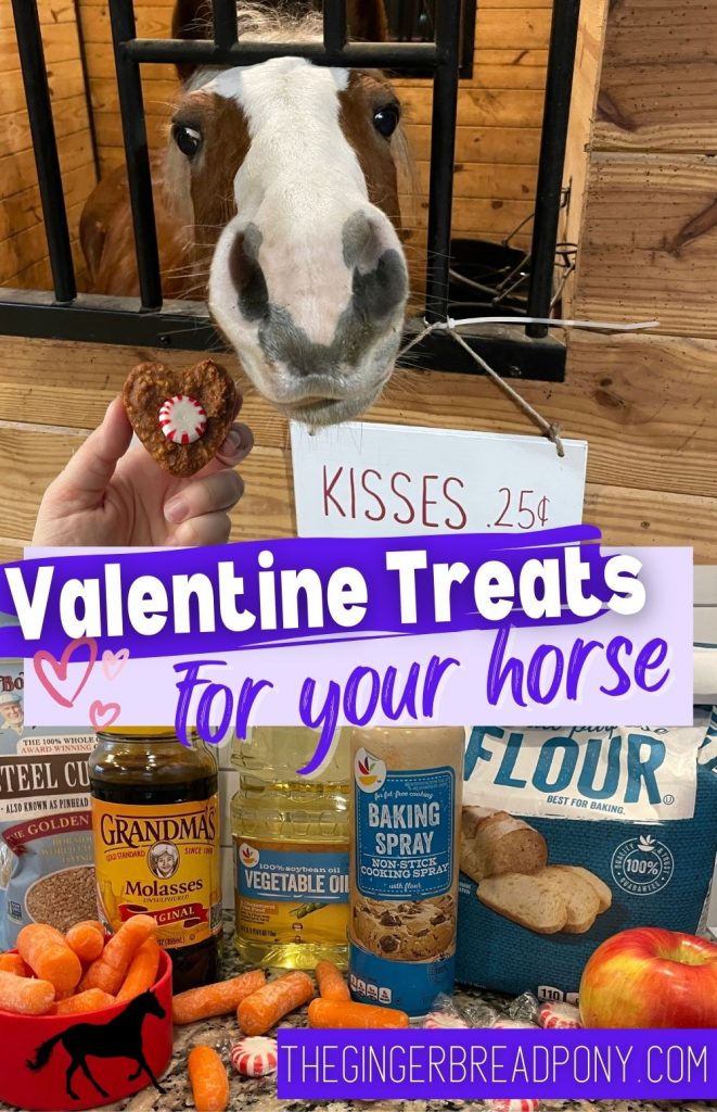 Horse Treats for Valentines PIN