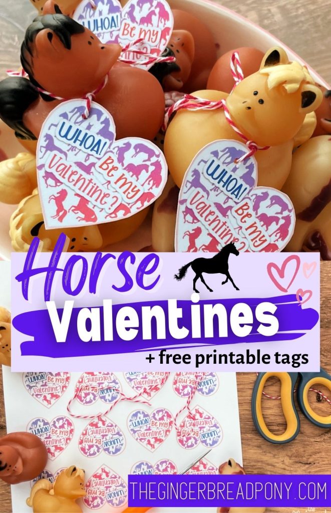 Rubber Duck Horse Valentines PIN