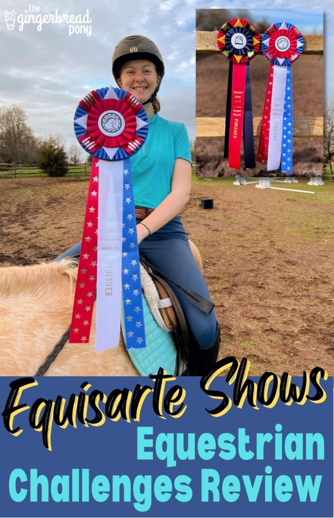 Equisarte Shows Challenge Ribbons PIN