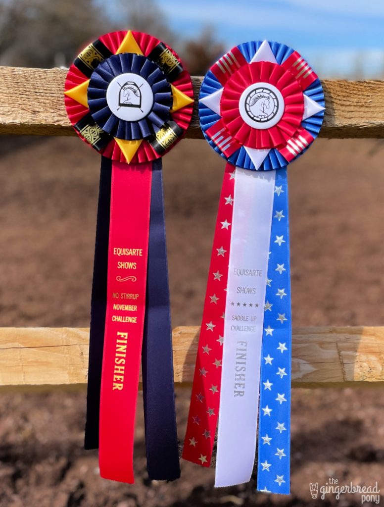 Equisarte Shows Challenge Ribbons TALL