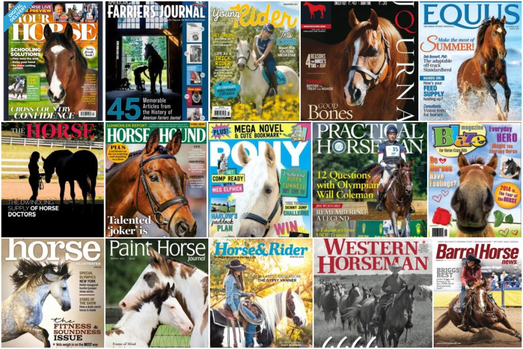 Horse magazines collage HERO