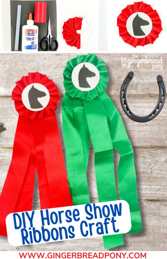 DIY Horse Show Ribbons PIN
