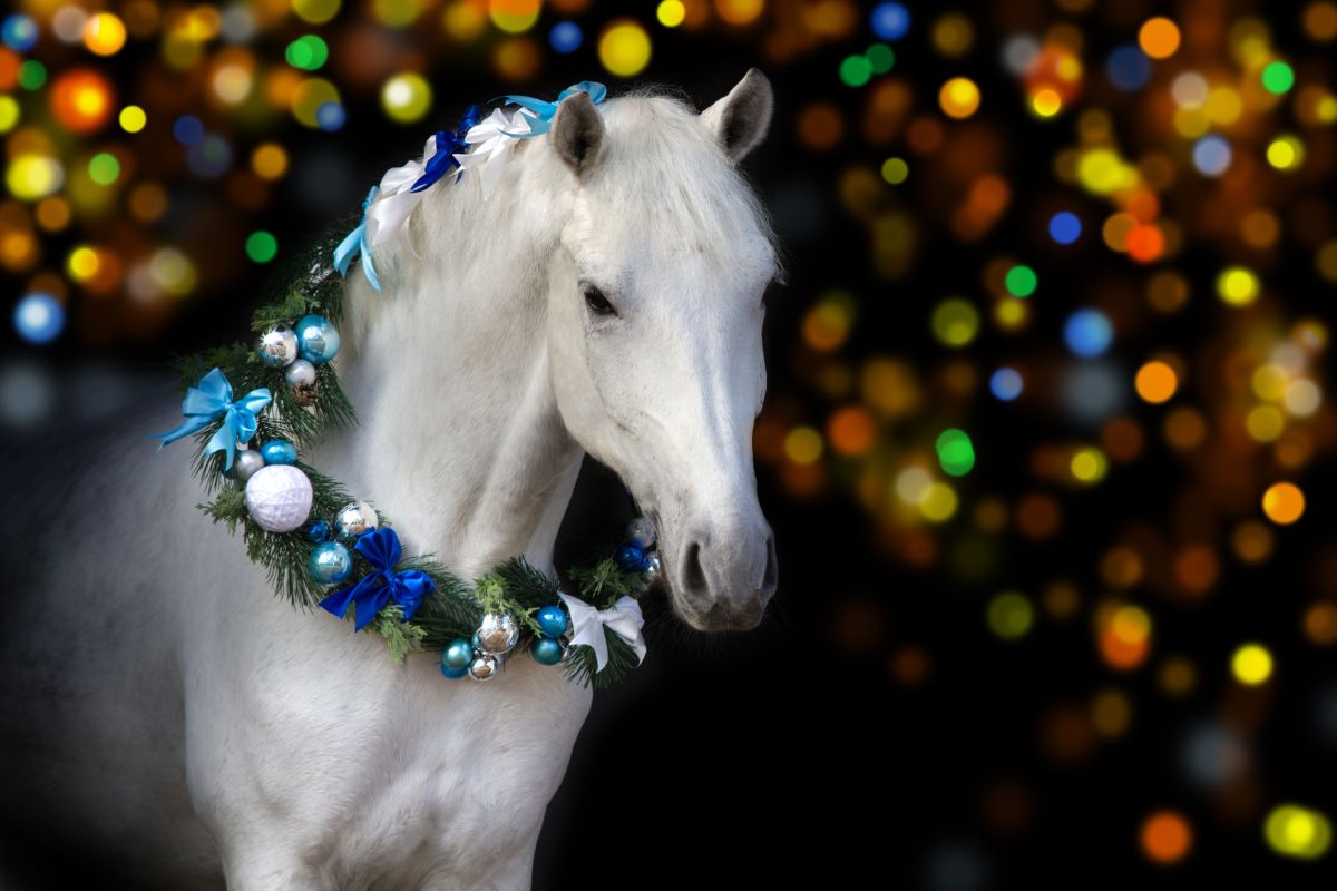 Horse with Holiday wreath and lights