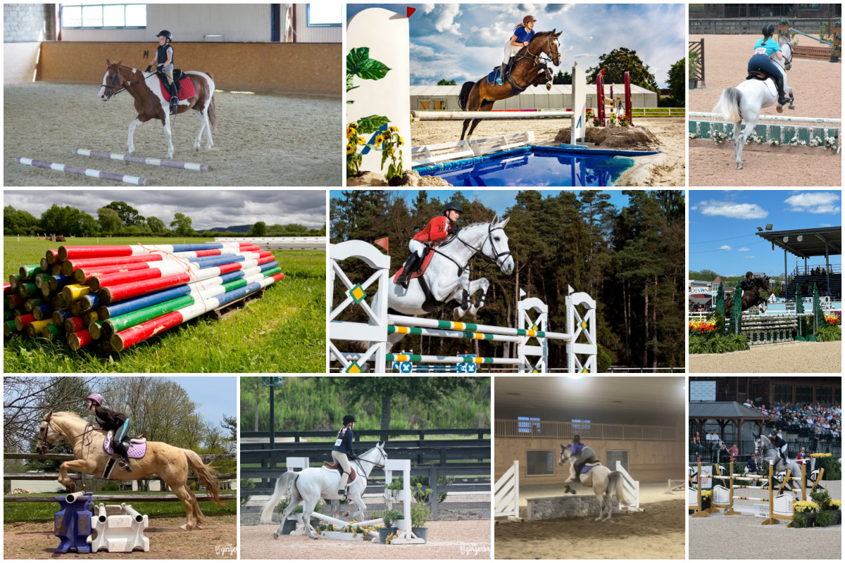 Types-of-Horse-Jumps-Arena