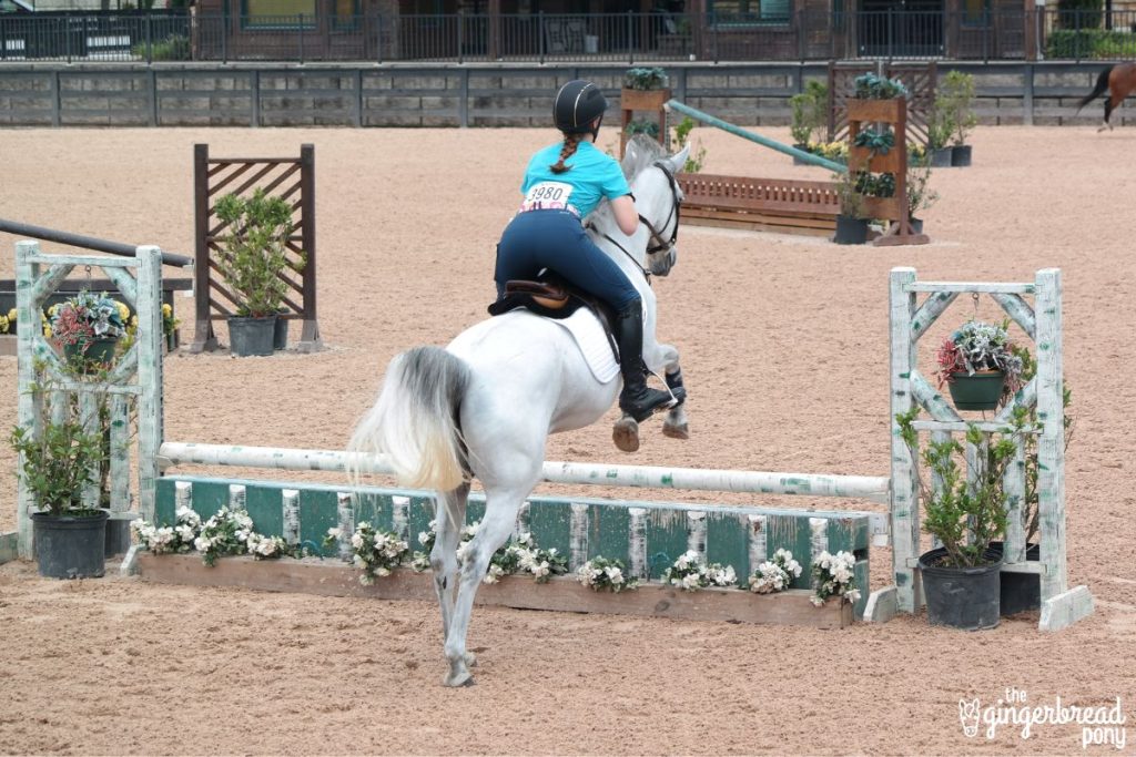 Vertical Horse Jump
