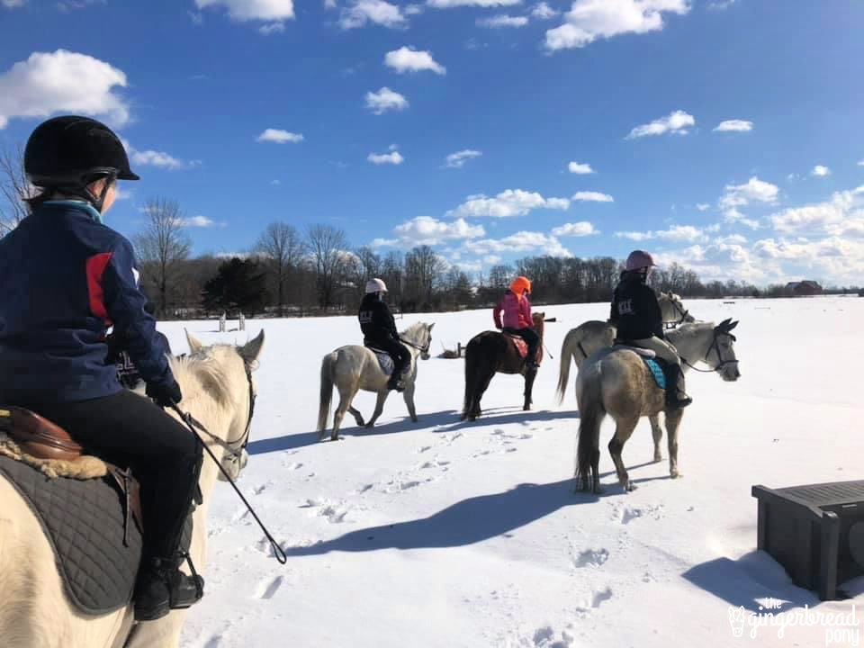 Horseback-Riding-in-Snow